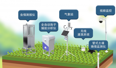 智慧農(nóng)業(yè)創(chuàng)新方案，賦能農(nóng)業(yè)現(xiàn)代化轉型新征程